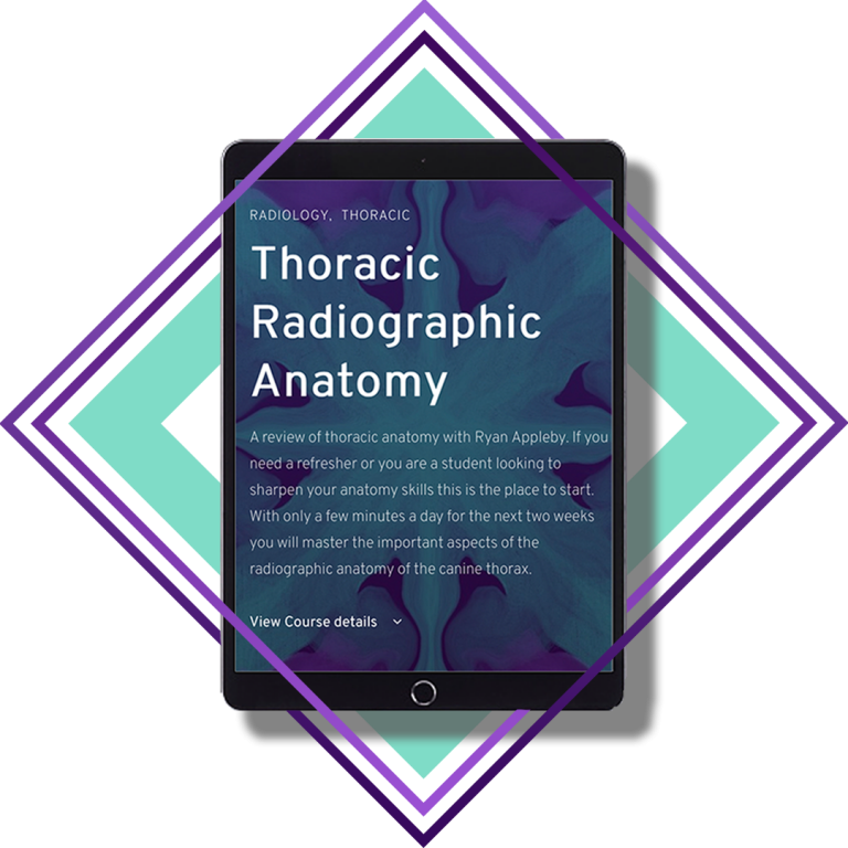 An iPad showing the course, Thoracic Radiographic Anatomy on Obi Veterinary Education