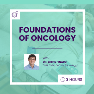 Foundations of Oncology