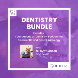 Dentistry Bundle