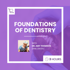 Foundations of Veterinary Dentistry