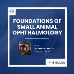 Foundations of Small Animal Ophthalmology