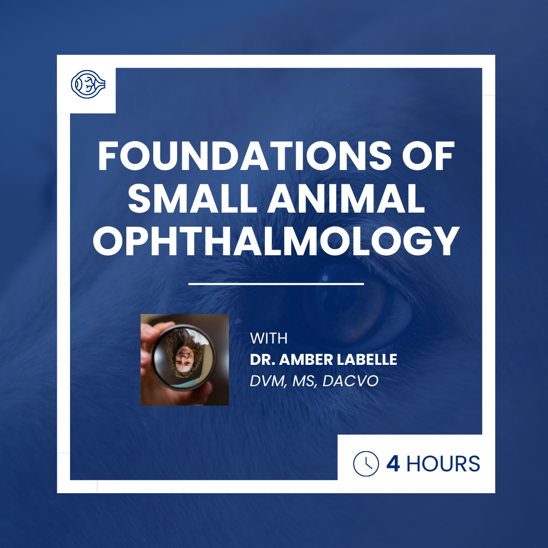 Foundations of Small Animal Ophthalmology