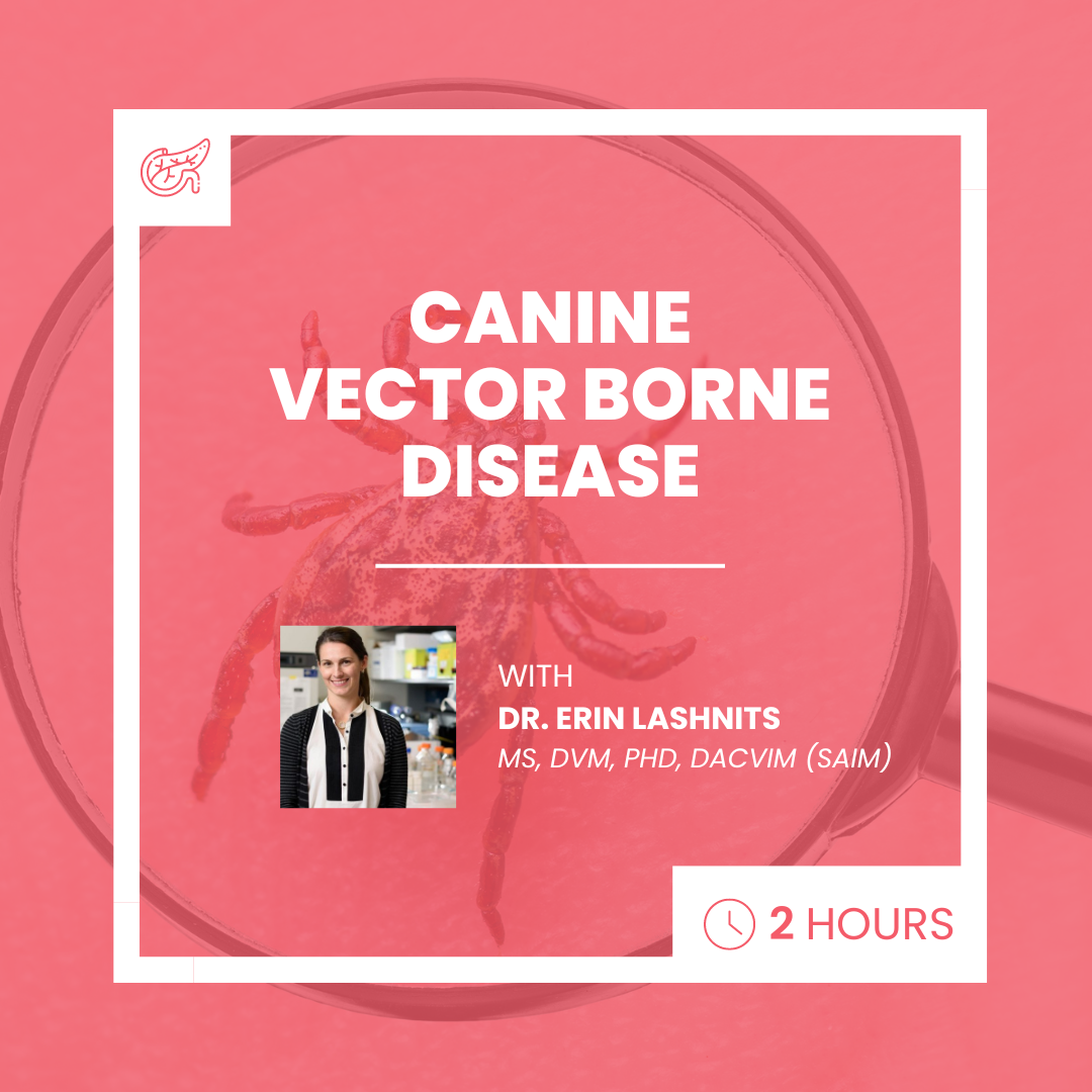 Canine Vector Borne Disease
